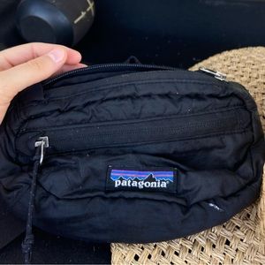 Patagonia Fanny Pack